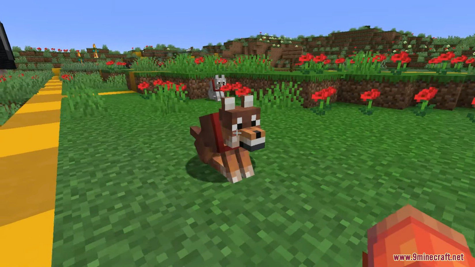 Minecraft 1.21, 1.20.5 Snapshot 24w10a - New Wolves, New Dogs 13