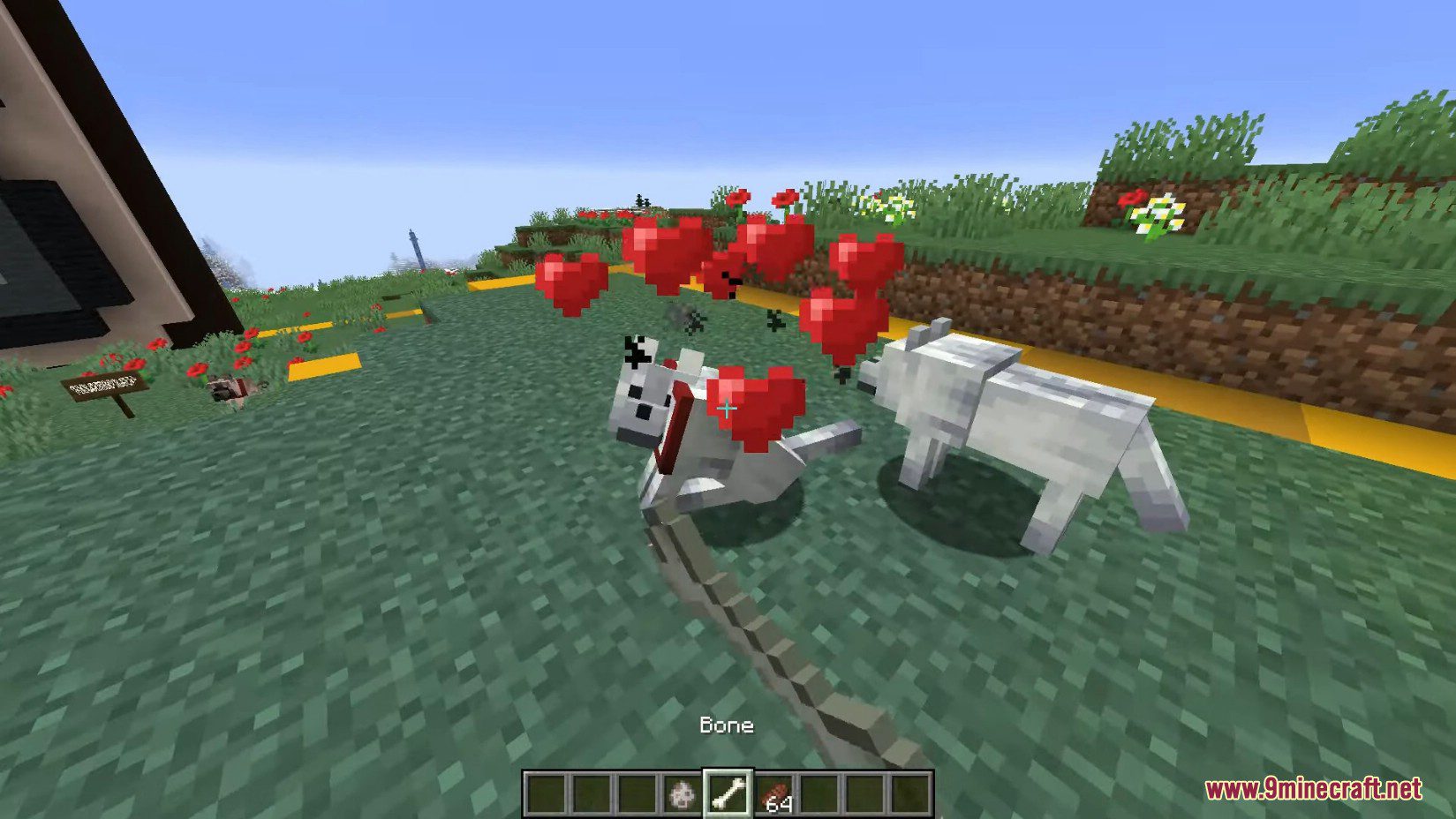 Minecraft 1.21, 1.20.5 Snapshot 24w10a - New Wolves, New Dogs 15