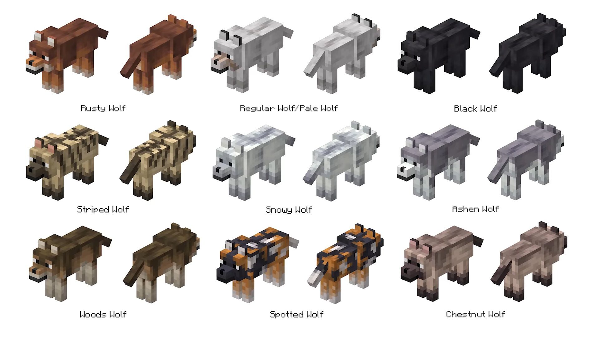 Minecraft 1.21, 1.20.5 Snapshot 24w10a - New Wolves, New Dogs 2