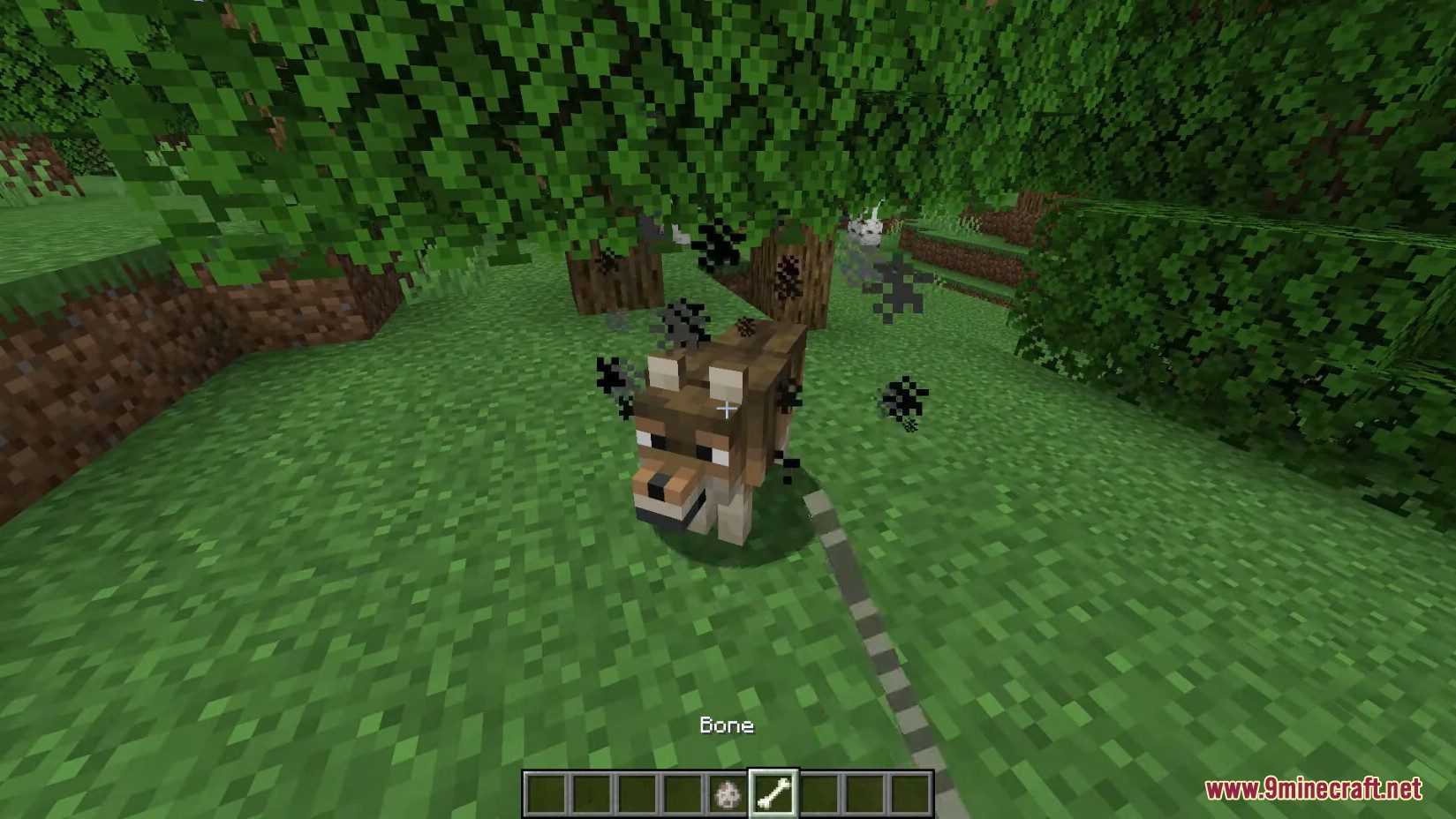 Minecraft 1.21, 1.20.5 Snapshot 24w10a - New Wolves, New Dogs 5