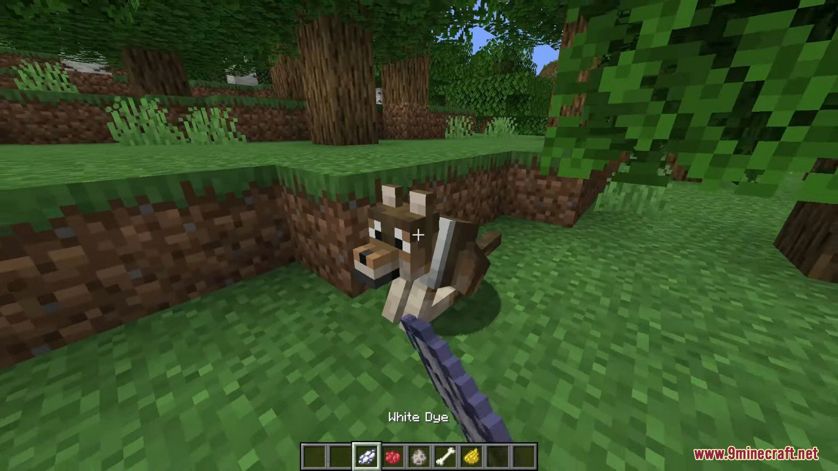 Minecraft 1.21, 1.20.5 Snapshot 24w10a - New Wolves, New Dogs 6