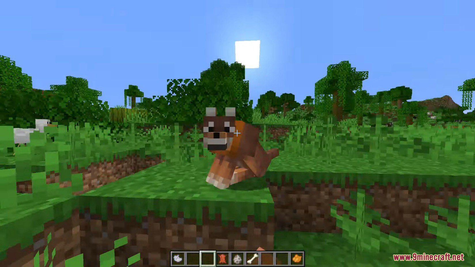 Minecraft 1.21, 1.20.5 Snapshot 24w10a - New Wolves, New Dogs 11