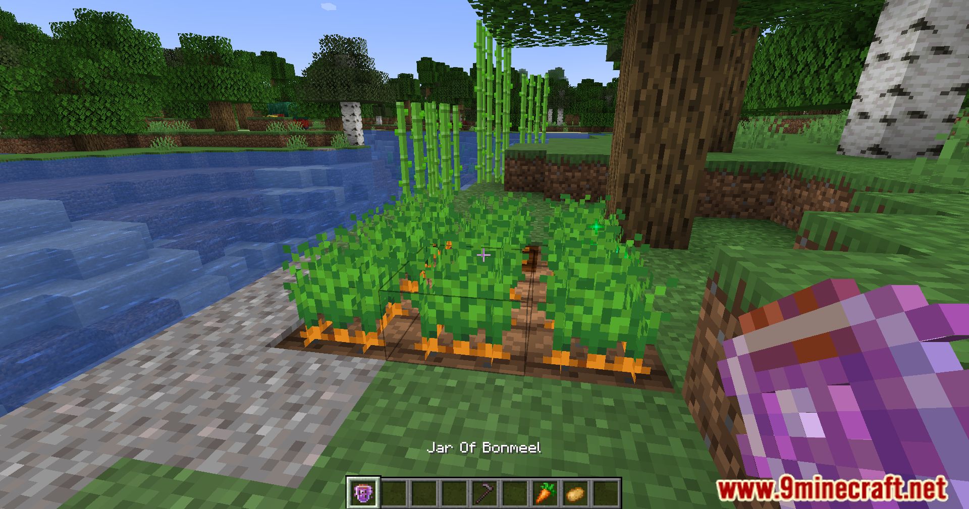 More Sniffer Flowers Mod (1.20.4, 1.20.1) - Discover Floral Wonders 20