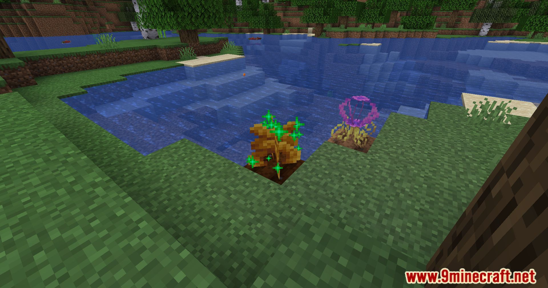 More Sniffer Flowers Mod (1.20.4, 1.20.1) - Discover Floral Wonders 6