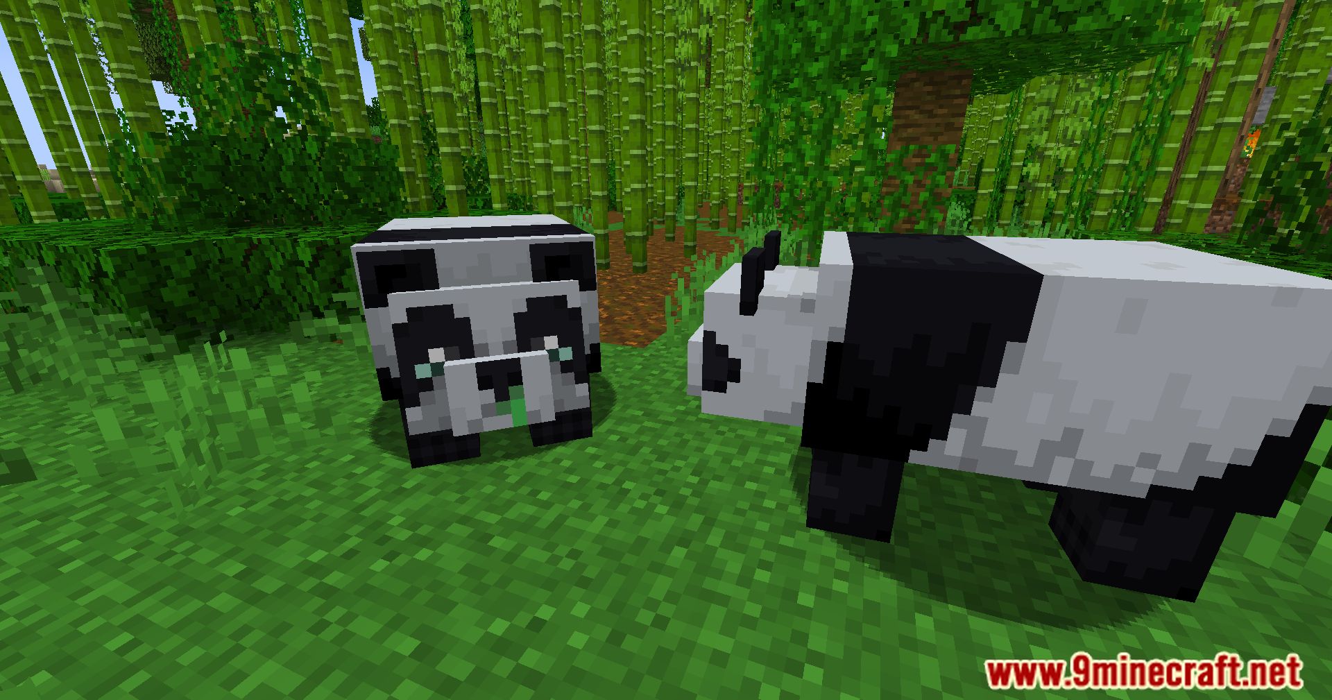 Resource Pandas Mod (1.20.4, 1.19.4) - Unleash The Golden Potential Of Minecraft's Pandas 5