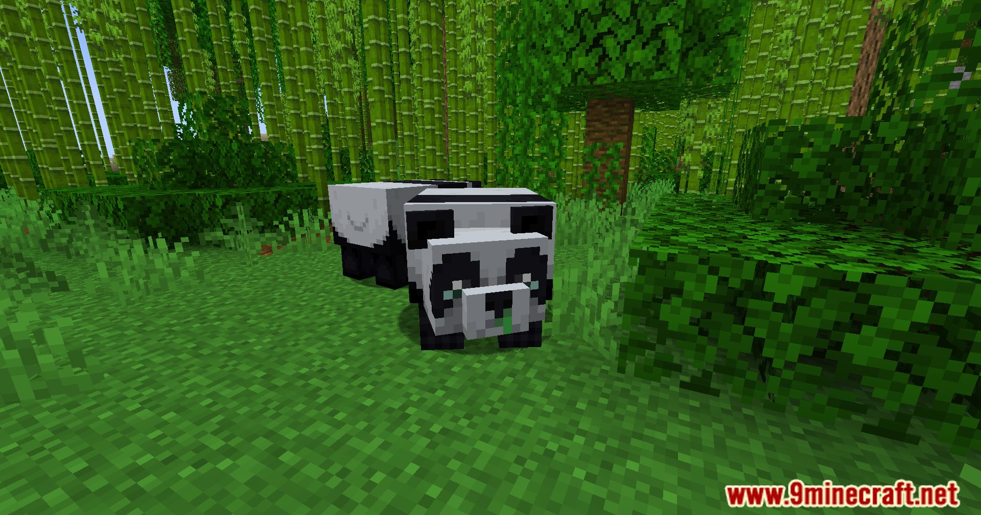 Resource Pandas Mod (1.20.4, 1.19.4) - Unleash The Golden Potential Of Minecraft's Pandas 6