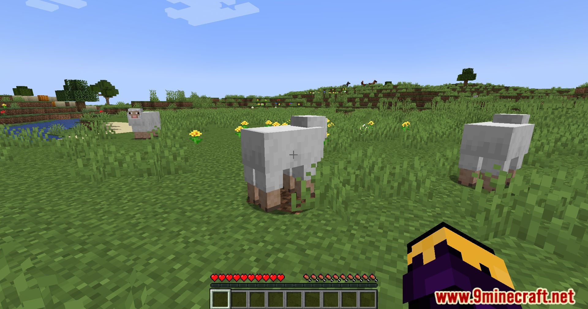 Sheep Squeak Mod (1.20.4, 1.19.4) - A Playful Sheep Interaction Mod 3