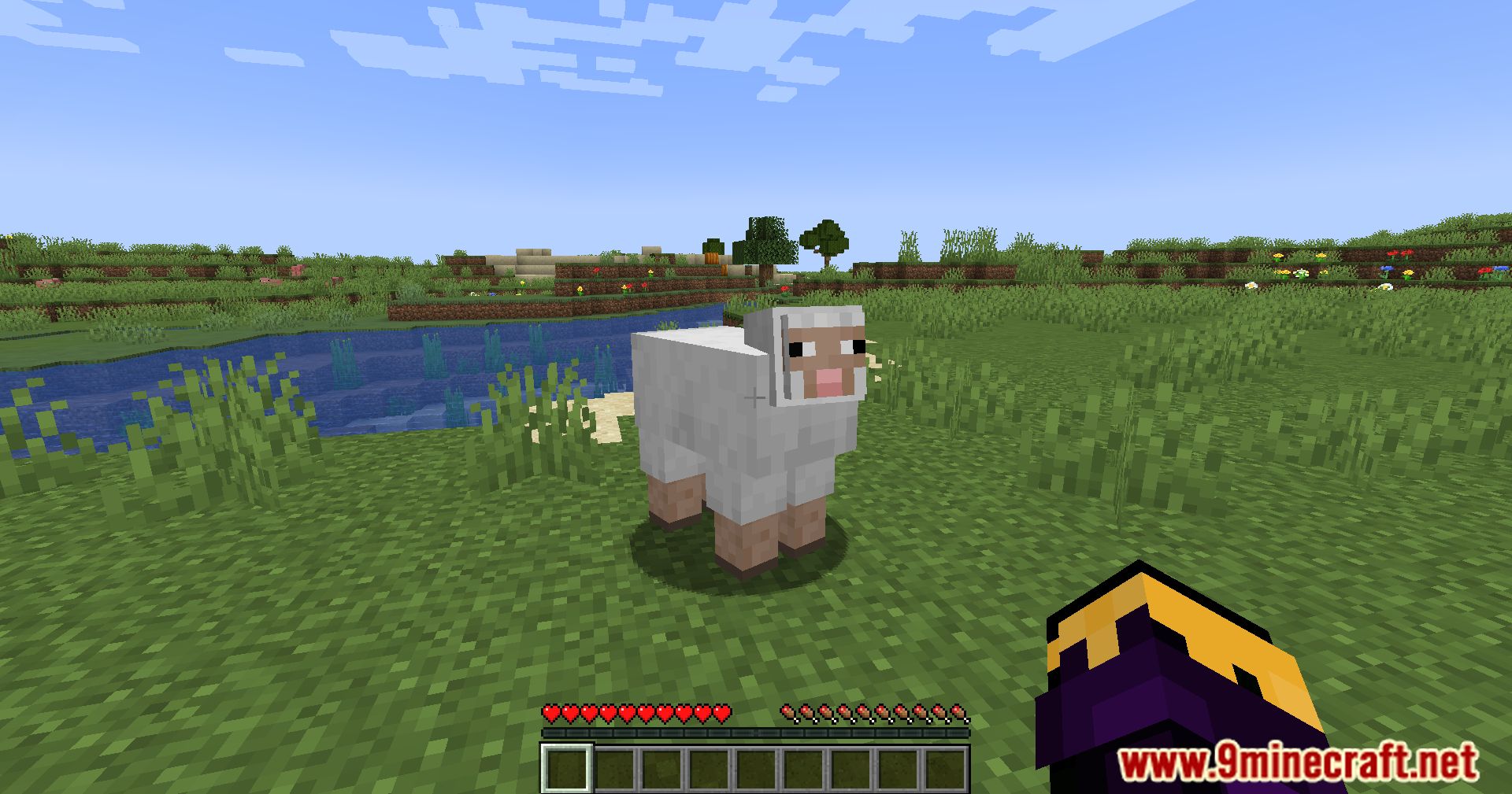 Sheep Squeak Mod (1.20.4, 1.19.4) - A Playful Sheep Interaction Mod 7