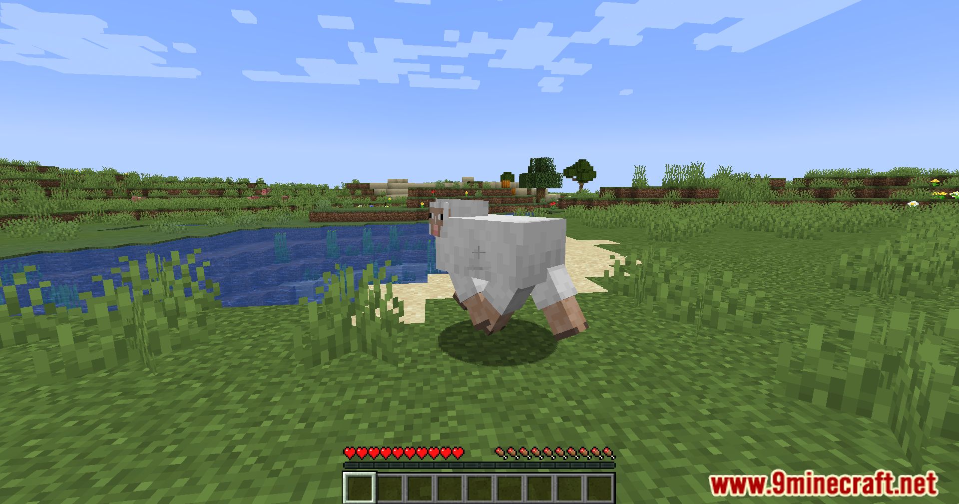 Sheep Squeak Mod (1.20.4, 1.19.4) - A Playful Sheep Interaction Mod 8