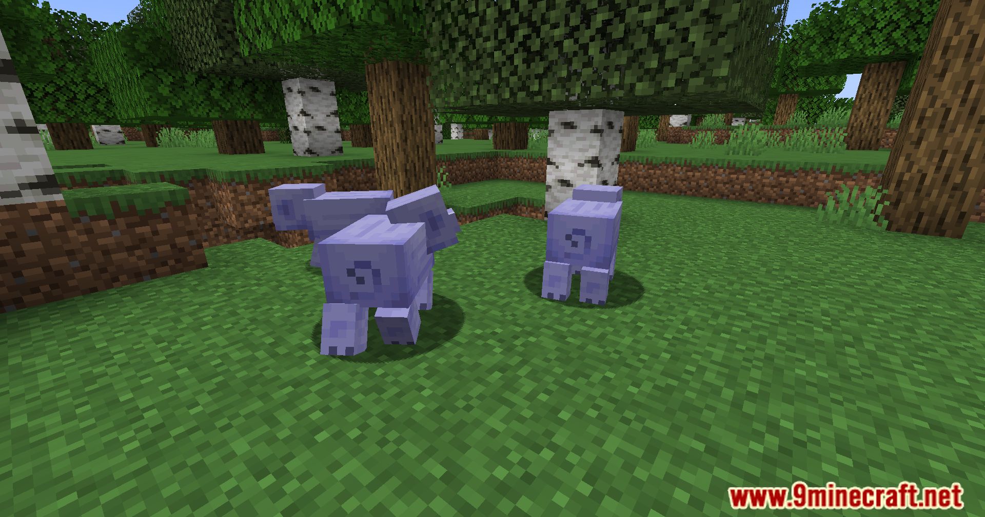 Spider Pig Mod (1.21.1, 1.20.1) - Transform Spiders Into Playful Pigs 4