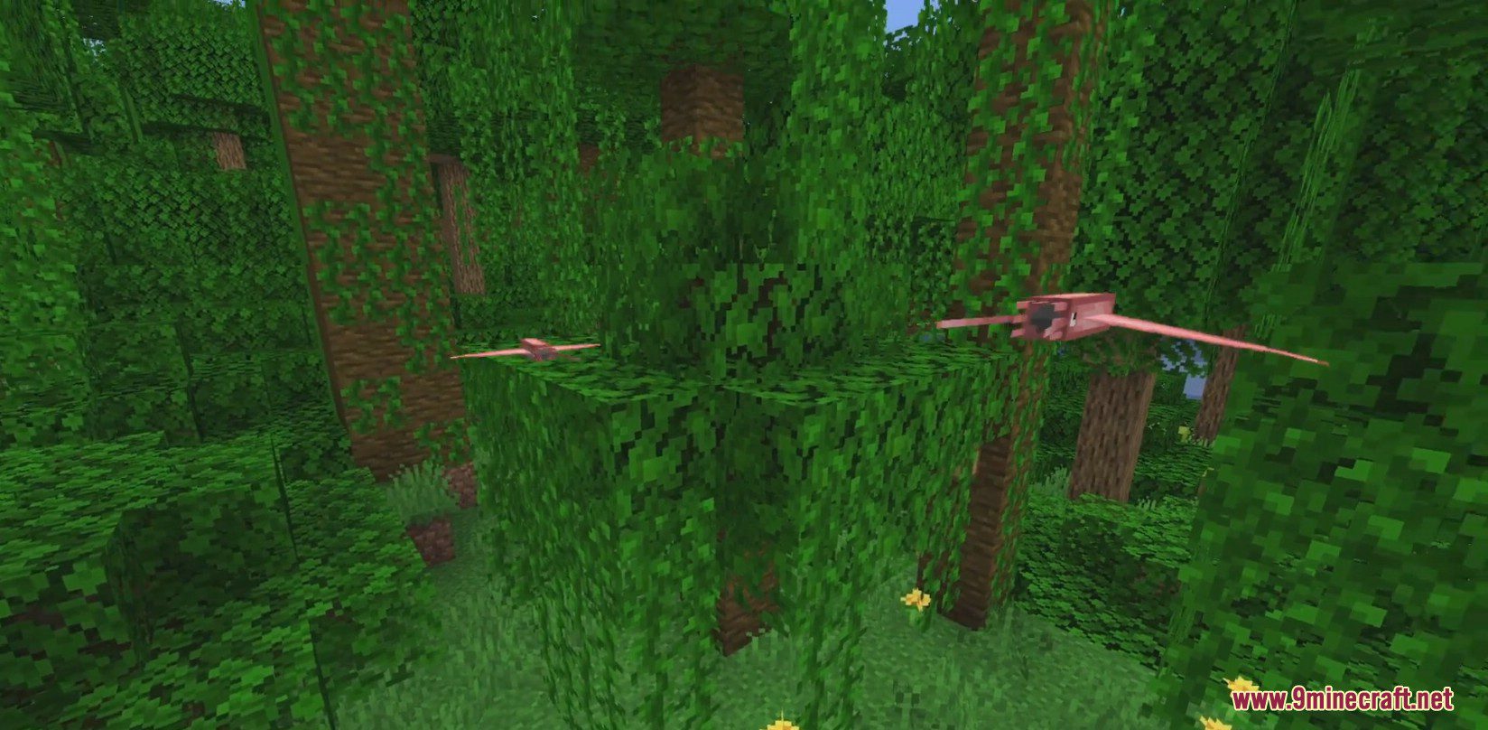 Squid-Birds Mod (1.18.2, 1.16.5) - Flying Squid Mobs 3