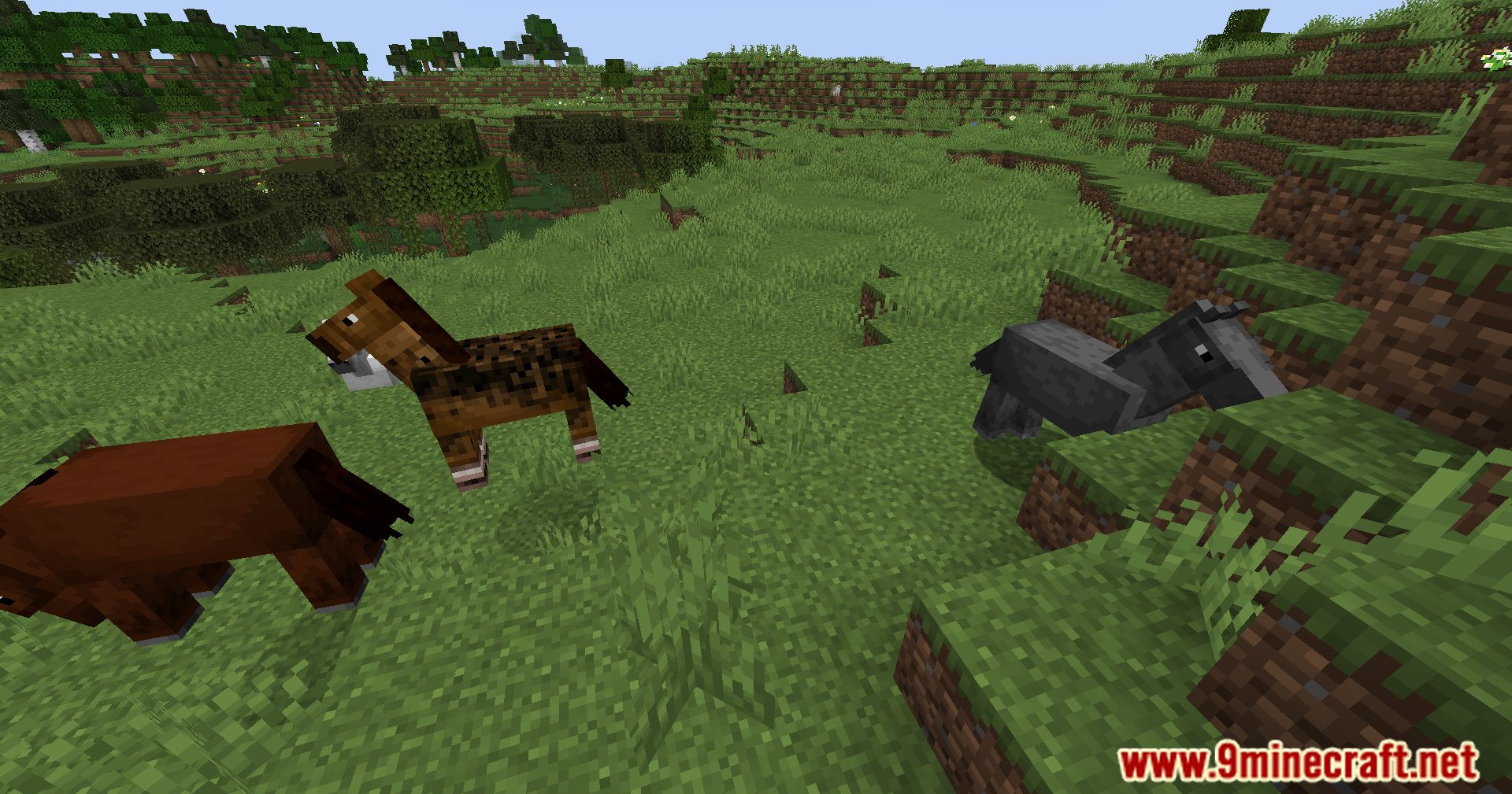 Steed Stopper Mod (1.20.4, 1.19.4) - Horse-Free Habitat, Explore A Unique World 5