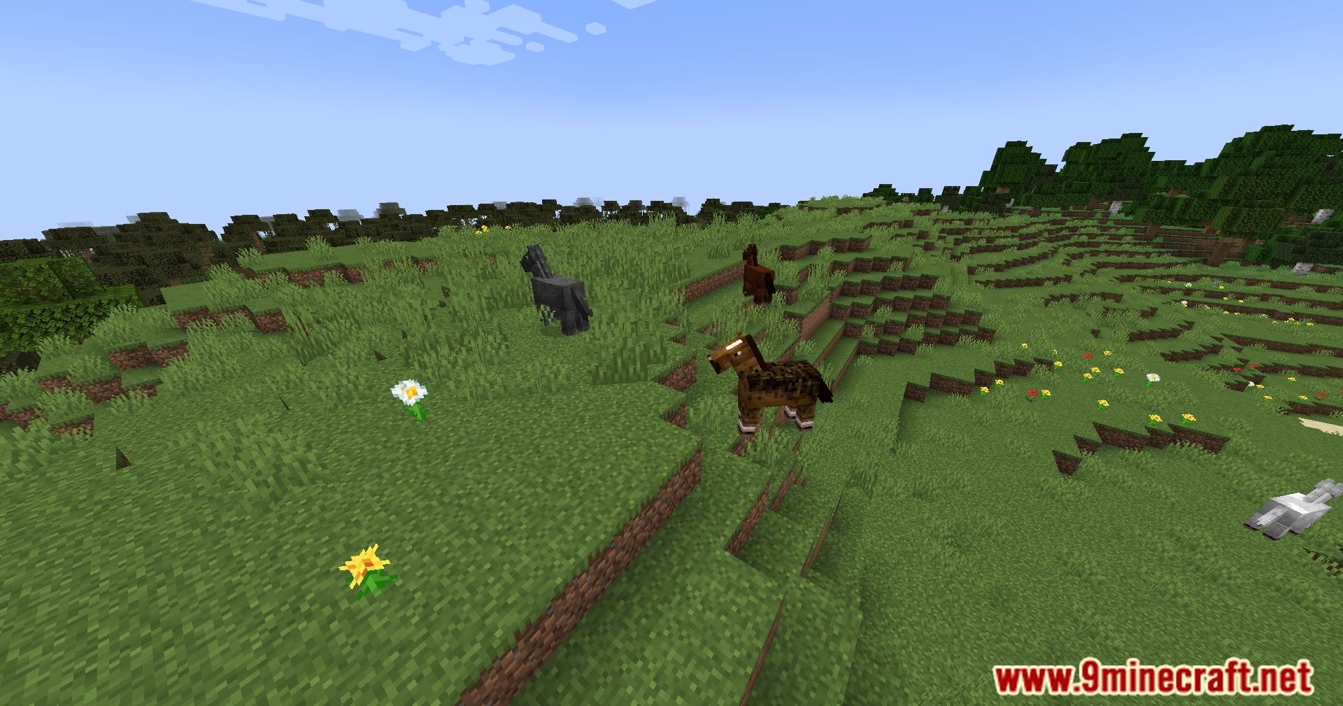 Steed Stopper Mod (1.20.4, 1.19.4) - Horse-Free Habitat, Explore A Unique World 9