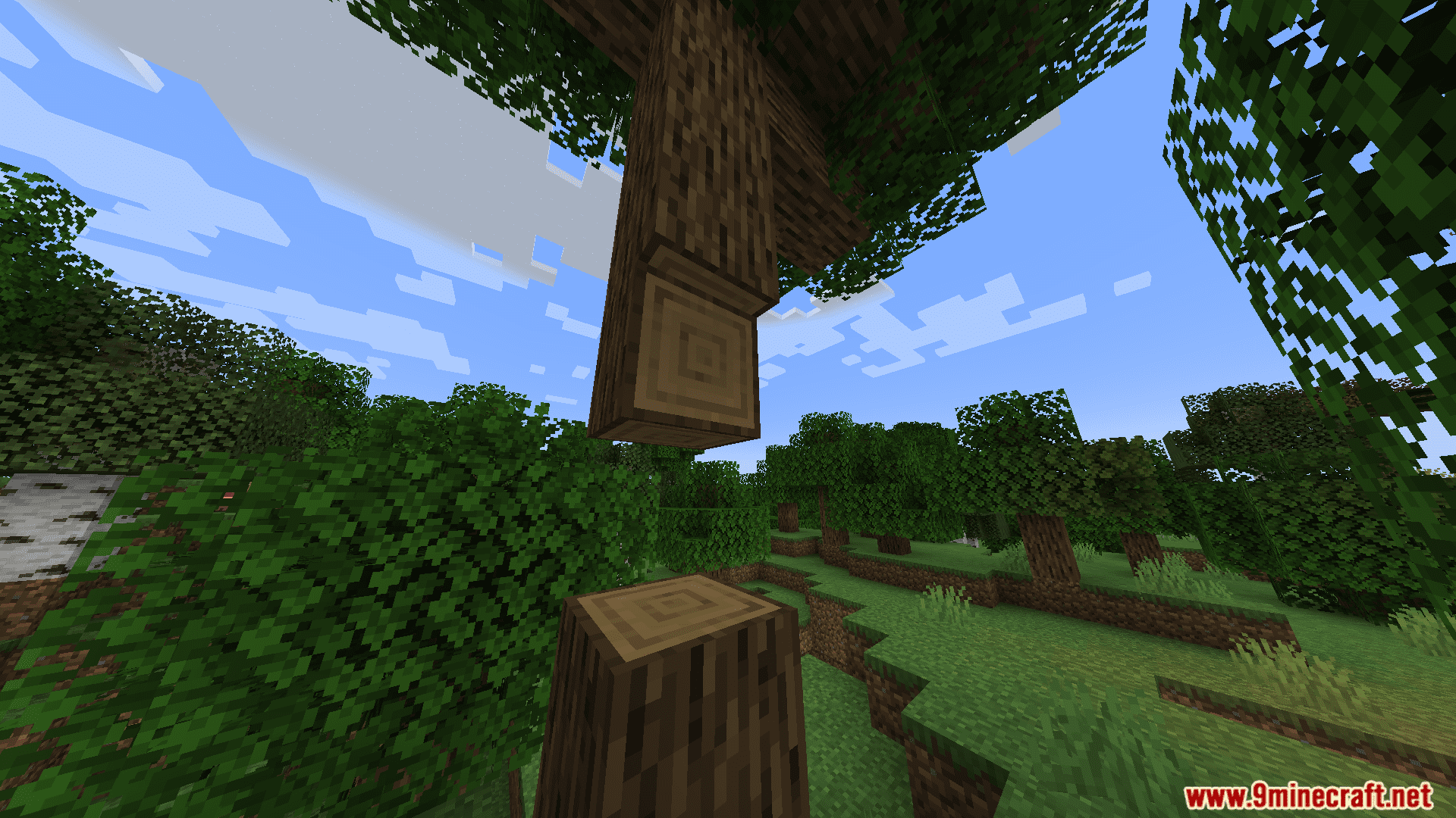 Timber Tweak Mod (1.20.4, 1.20.1) - Realistic Tree Chopping Mechanic 6