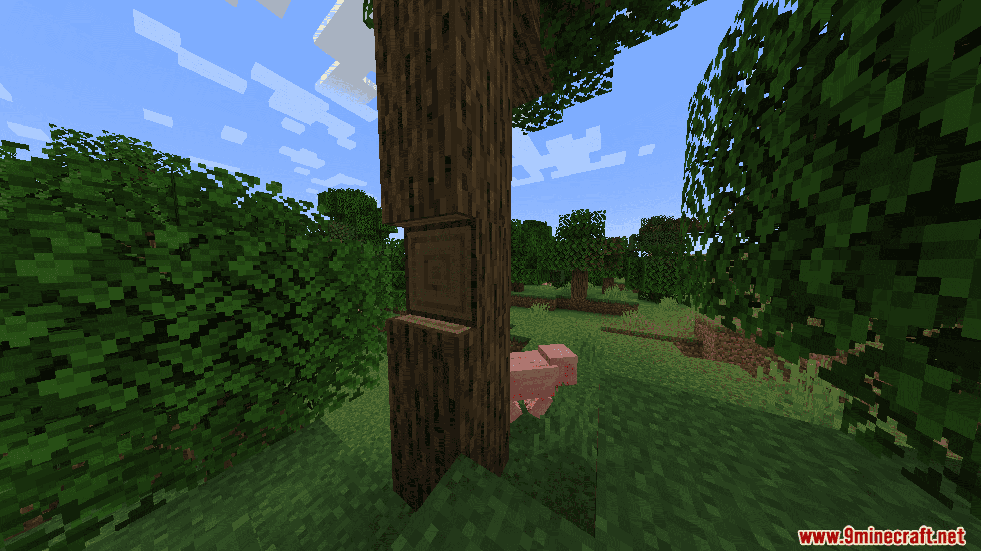 Timber Tweak Mod (1.20.4, 1.20.1) - Realistic Tree Chopping Mechanic 2