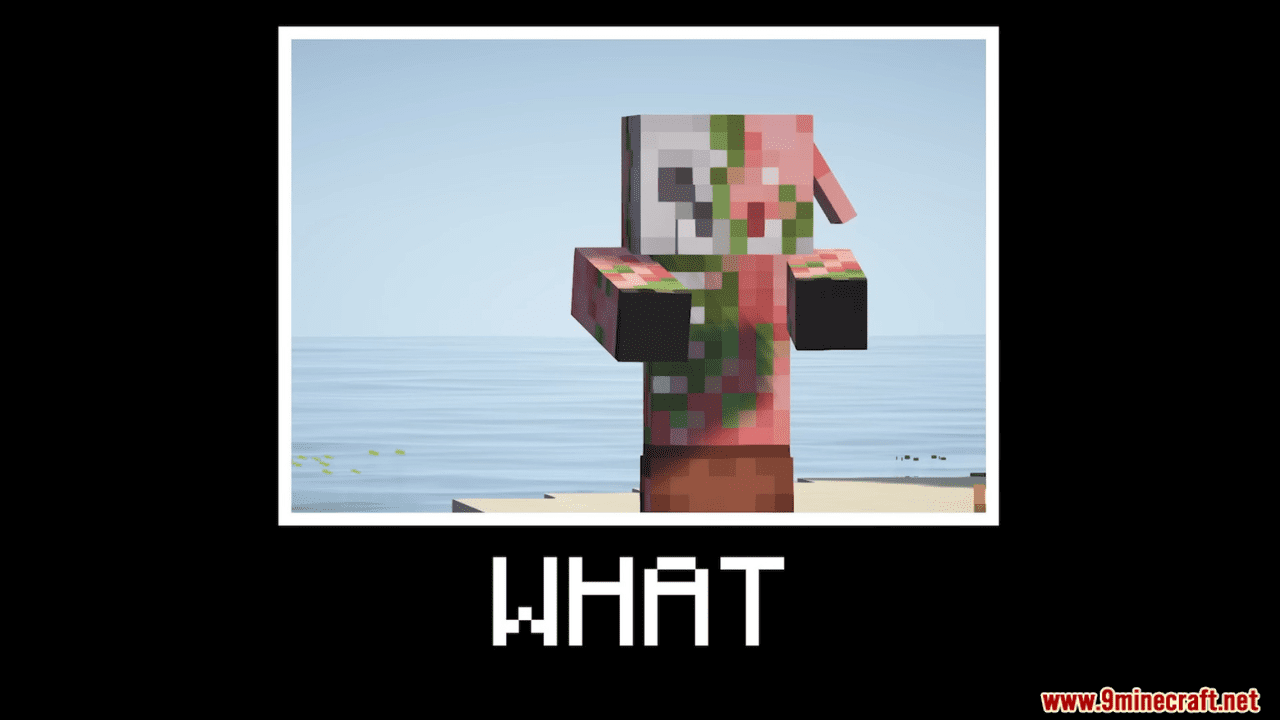 WHAT Mod (1.20.4, 1.19.2) - Spyglass Meme 6