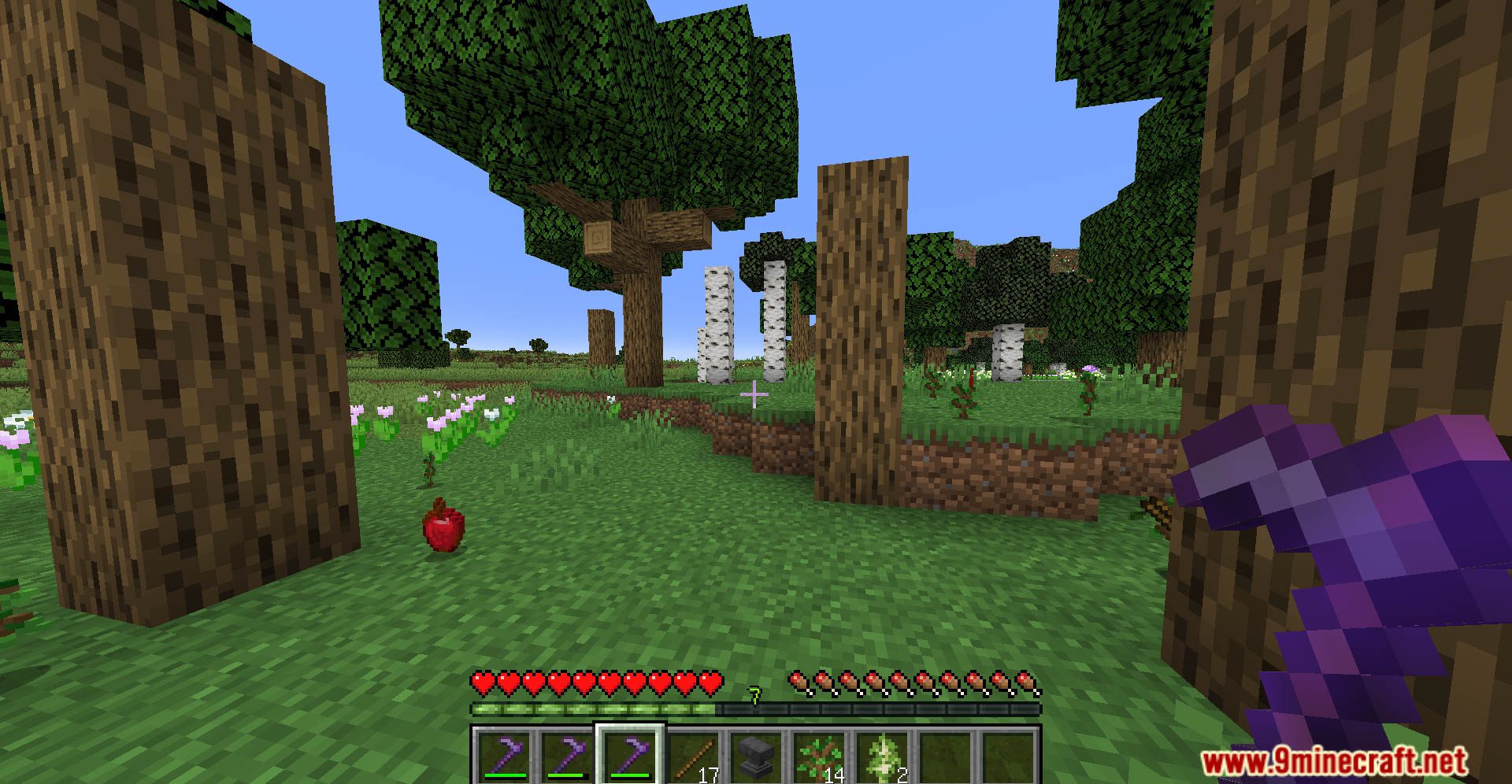 Better Apple Drops Data Pack (1.20.4, 1.19.4) - Experience The Joy Of A Plentiful Harvest! 12