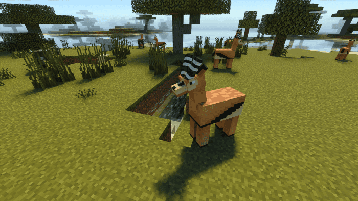 Entity Savanna Update Addon (1.20) - MCPE/Bedrock Mod 5