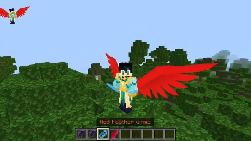 Equippable Wings Addon (1.20) - MCPE/Bedrock Mod 2