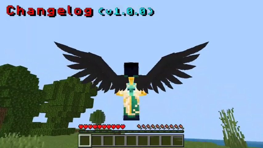 Equippable Wings Addon (1.20) - MCPE/Bedrock Mod 4