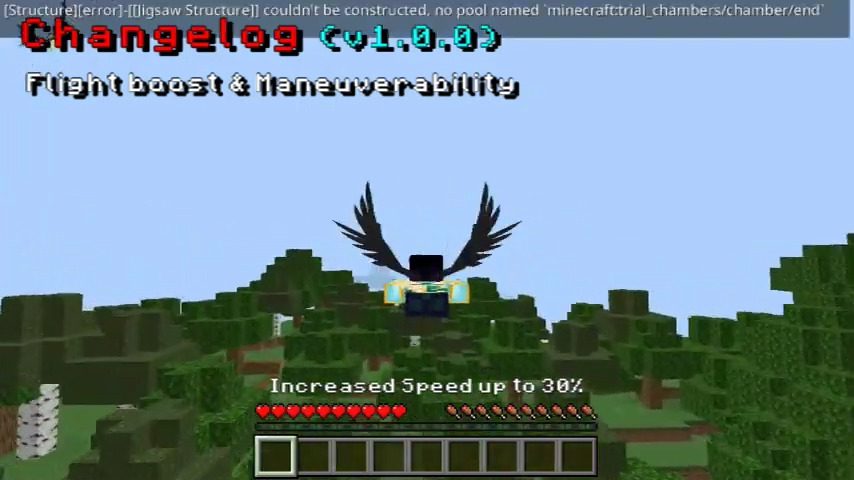 Equippable Wings Addon (1.20) - MCPE/Bedrock Mod 5