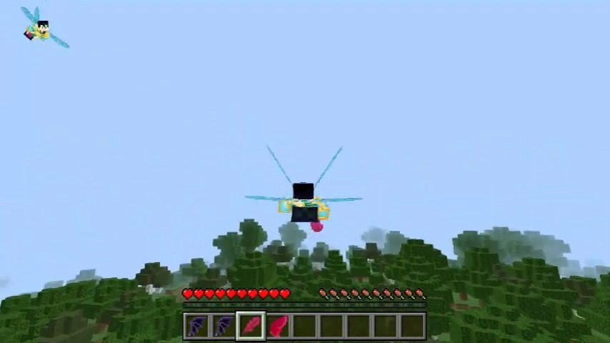 Equippable Wings Addon (1.20) - MCPE/Bedrock Mod 3