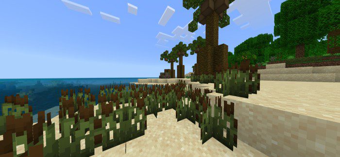 More to Explore Addon (1.20) - MCPE/Bedrock Mod 9