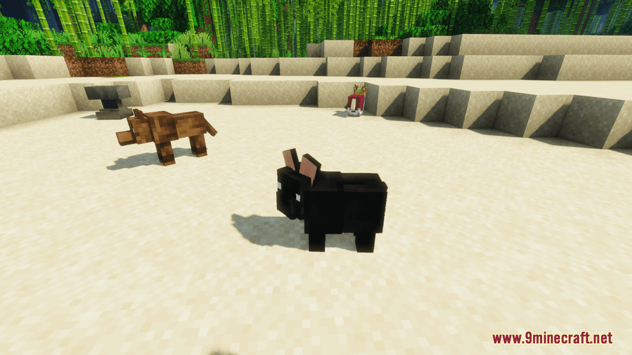 Party Pups Resource Pack (1.20.6, 1.20.1) - Texture Pack 7