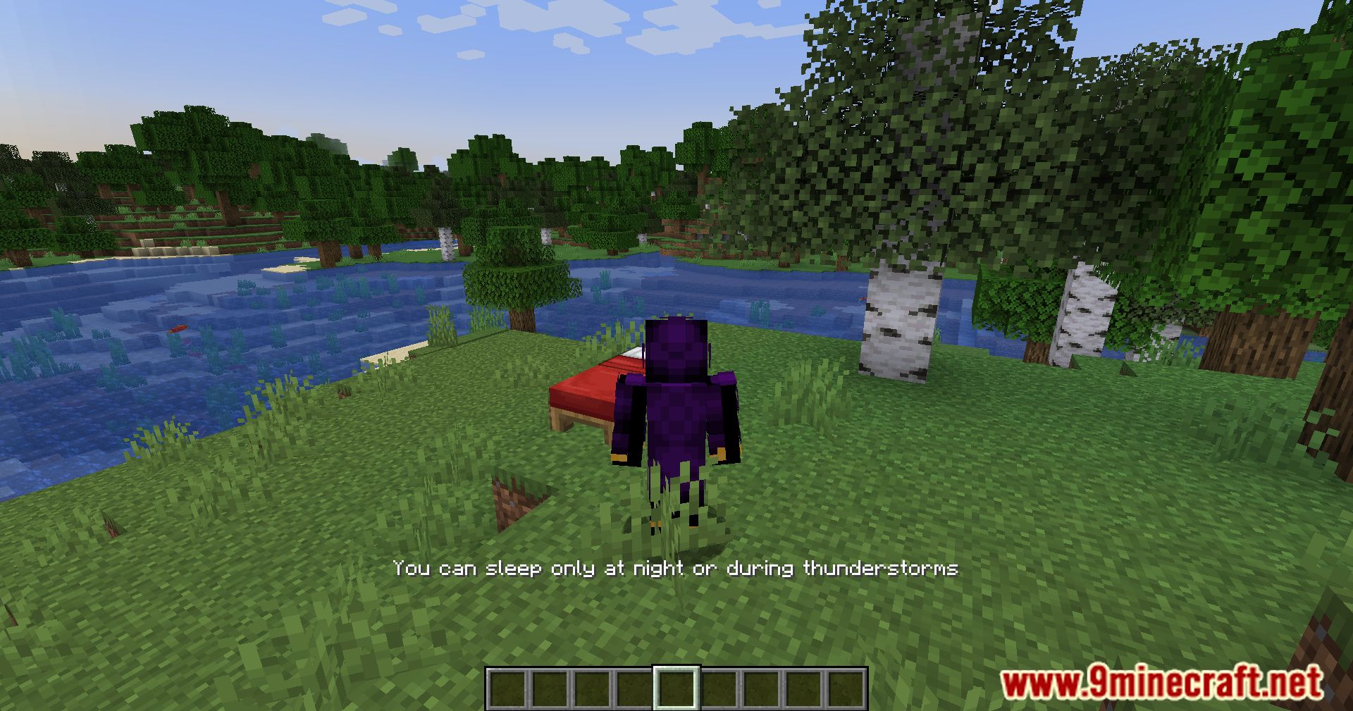 Server Sleep Mod (1.20.4, 1.19.4) - One Rule To Sleep Them All 7