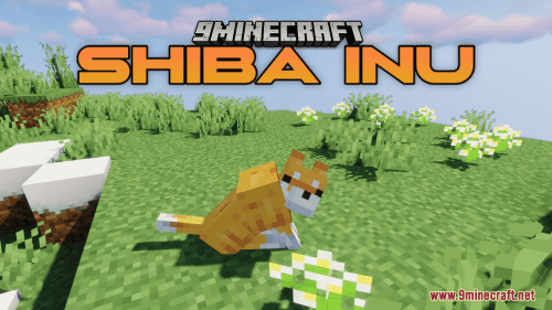 Shiba Inu Resource Pack (1.20.6, 1.20.1) – Texture Pack Thumbnail