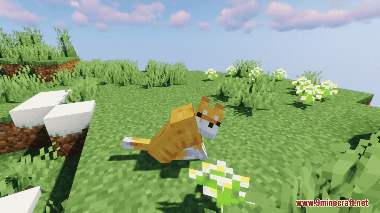 Shiba Inu Resource Pack (1.20.6, 1.20.1) - Texture Pack 2