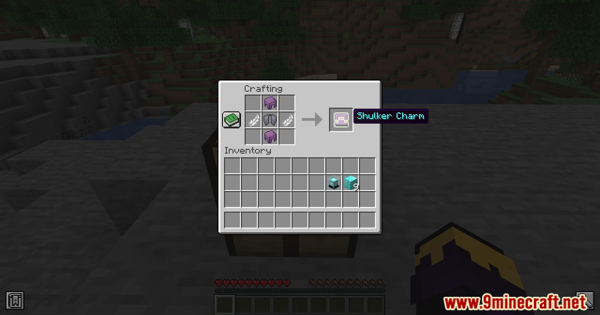 Shulker Charm Mod (1.20.4, 1.16.5) - Flight In Reach: , Discover The Skies 6