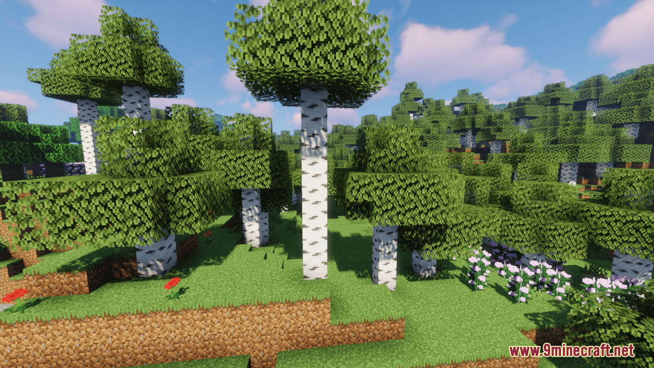 Silver Birch Resource Pack (1.20.6, 1.20.1) - Texture Pack 2