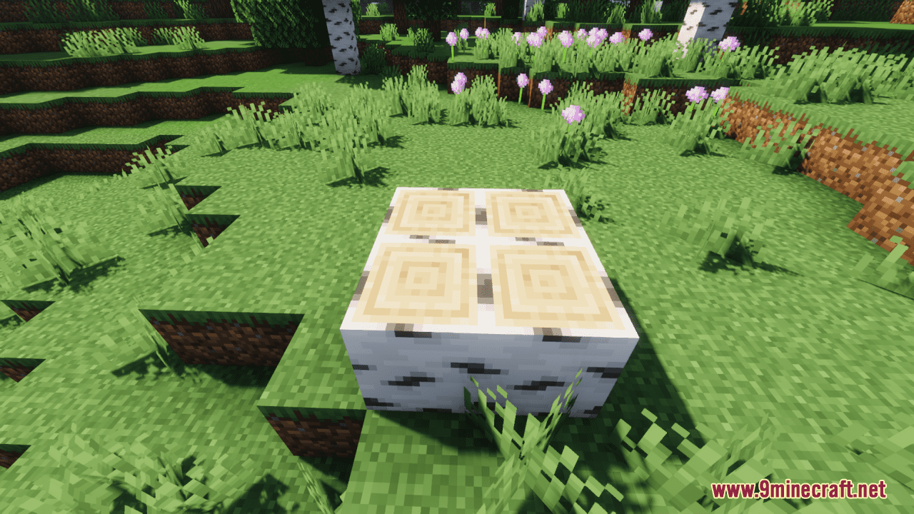 Silver Birch Resource Pack (1.20.6, 1.20.1) - Texture Pack 5