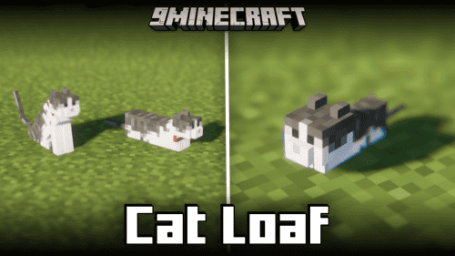 Cat Loaf Mod (1.21, 1.20.1) – Tamed Cats Cuddle Up Into Loafs Thumbnail