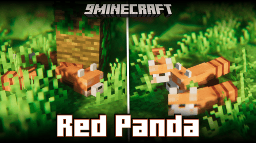 Cozary Red Panda Mod (1.20.1, 1.19.4) – Adds Adorable Pet Red Pandas Thumbnail