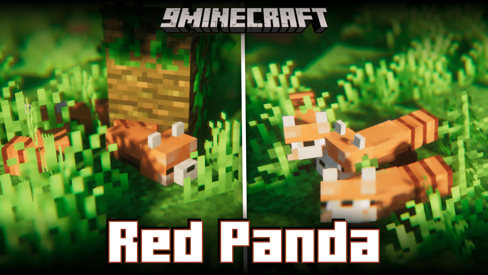 Cozary Red Panda Mod (1.20.1, 1.19.4) - Adds Adorable Pet Red Pandas 1