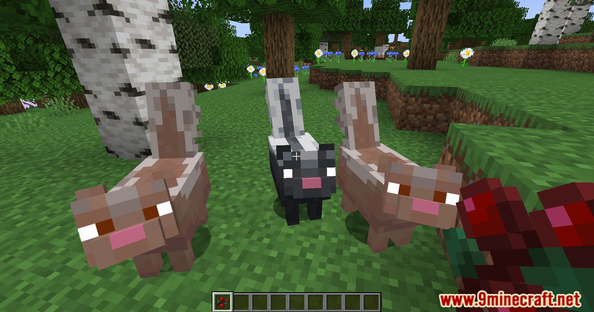 Wildlife Expanded Skunk Mod (1.20.4, 1.19.4) - Make Way For Wildlife, Taming Minecraft Skunks 12