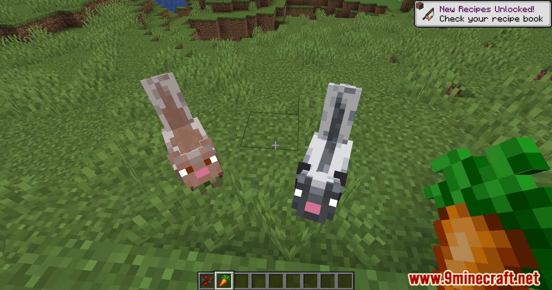 Wildlife Expanded Skunk Mod (1.20.4, 1.19.4) - Make Way For Wildlife, Taming Minecraft Skunks 15