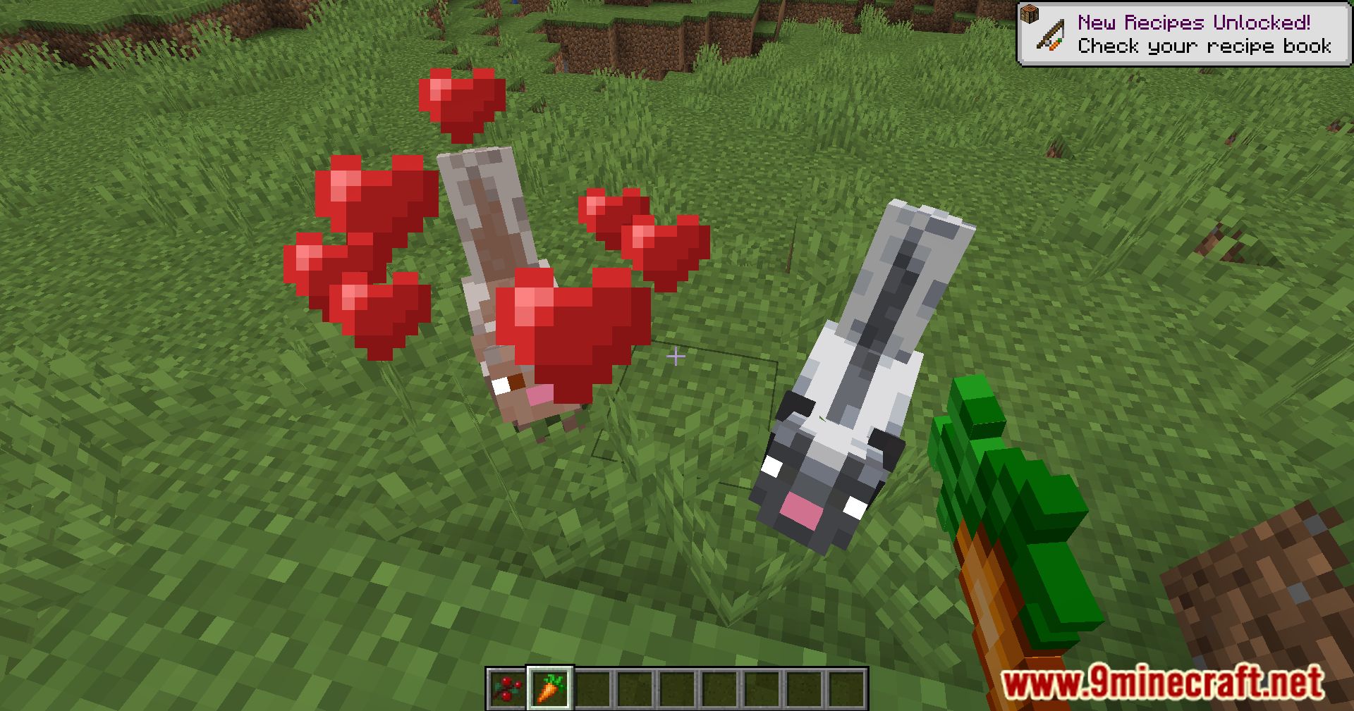 Wildlife Expanded Skunk Mod (1.20.4, 1.19.4) - Make Way For Wildlife, Taming Minecraft Skunks 16