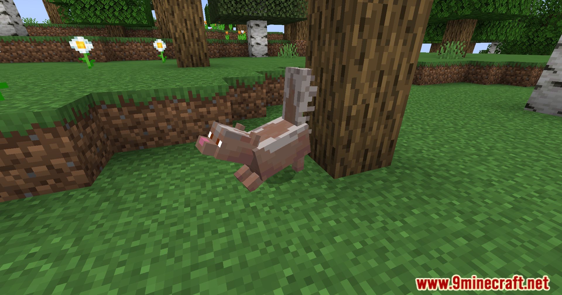 Wildlife Expanded Skunk Mod (1.20.4, 1.19.4) - Make Way For Wildlife, Taming Minecraft Skunks 3