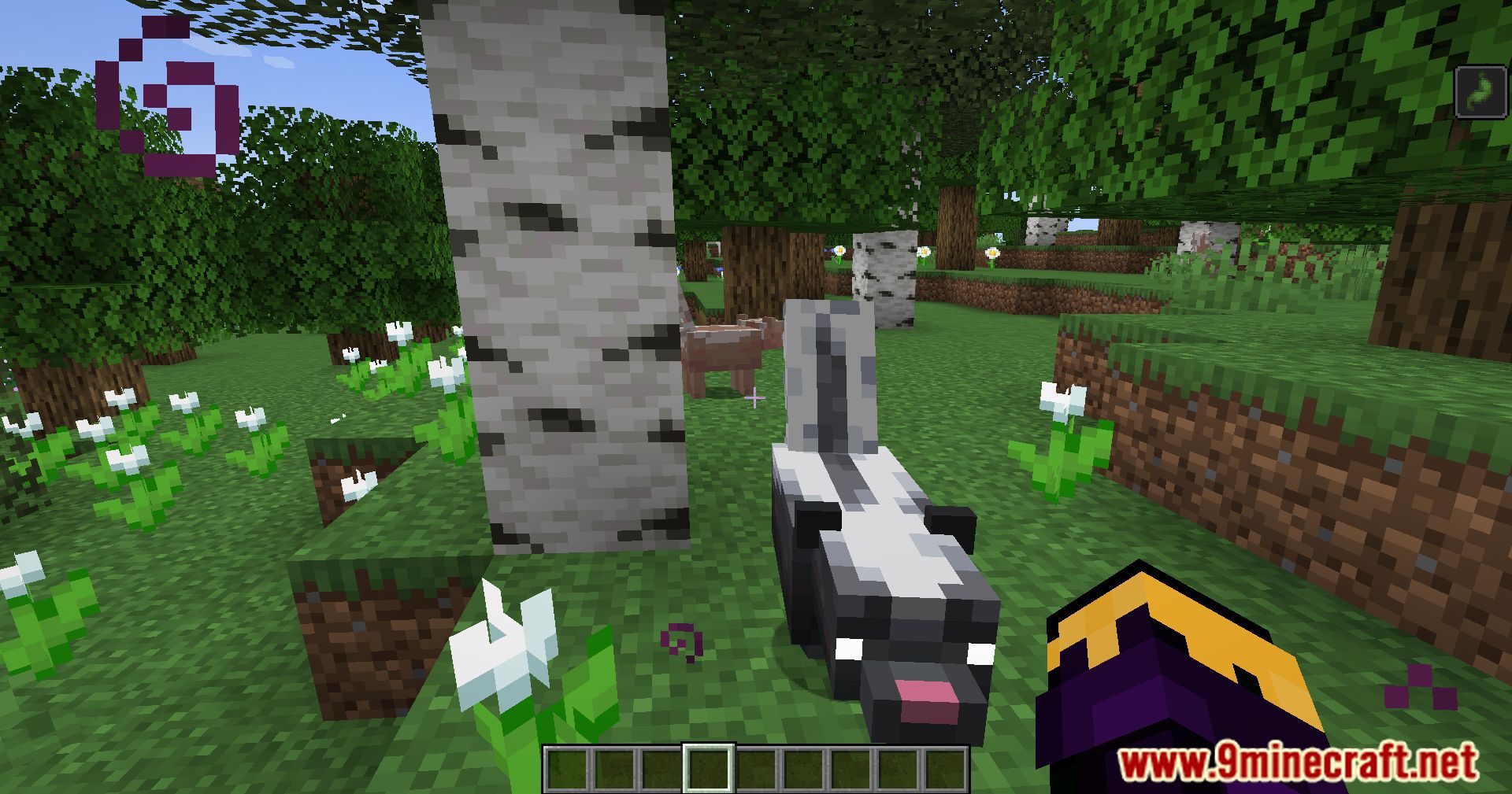 Wildlife Expanded Skunk Mod (1.20.4, 1.19.4) - Make Way For Wildlife, Taming Minecraft Skunks 4