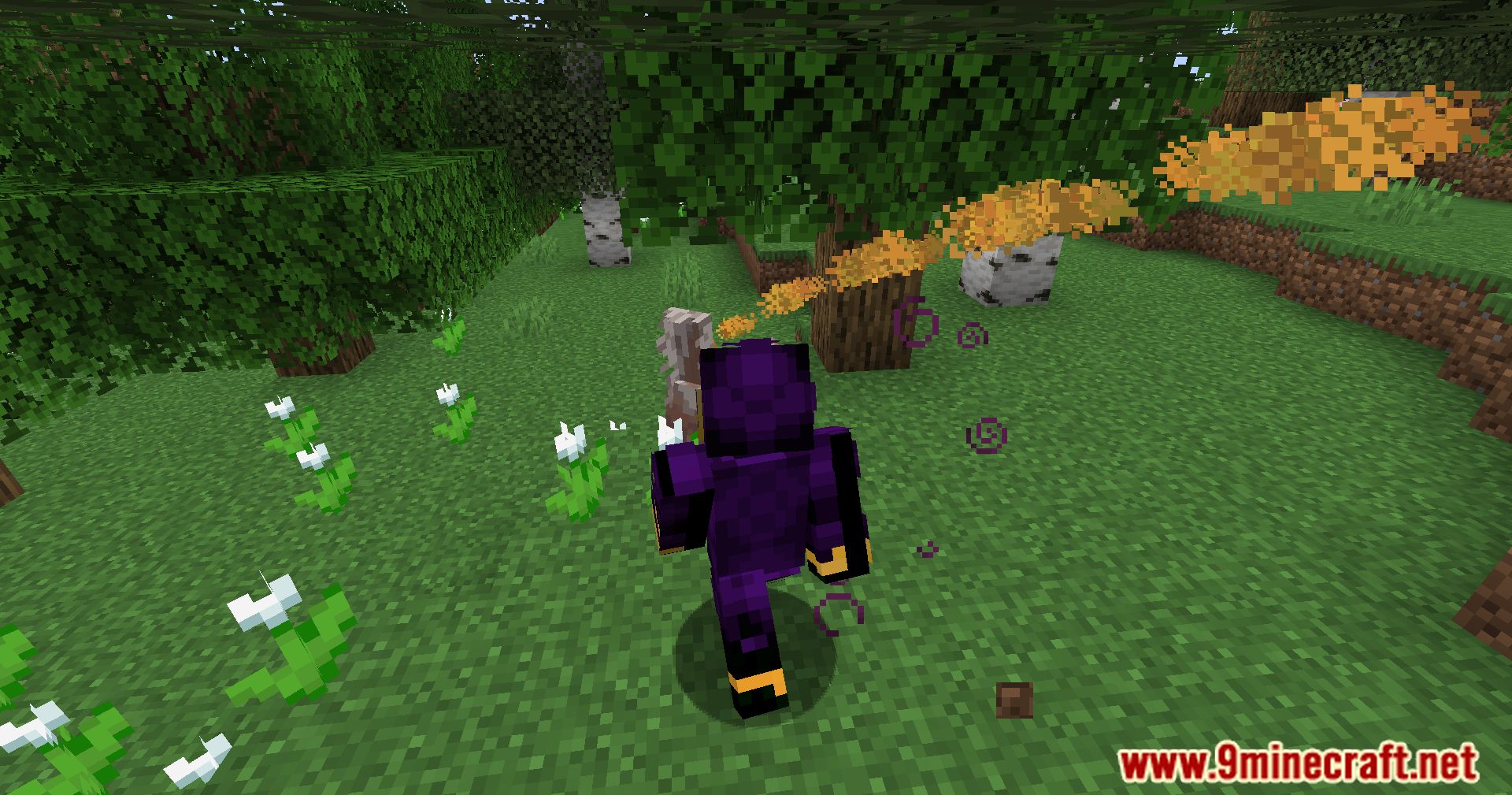 Wildlife Expanded Skunk Mod (1.20.4, 1.19.4) - Make Way For Wildlife, Taming Minecraft Skunks 7