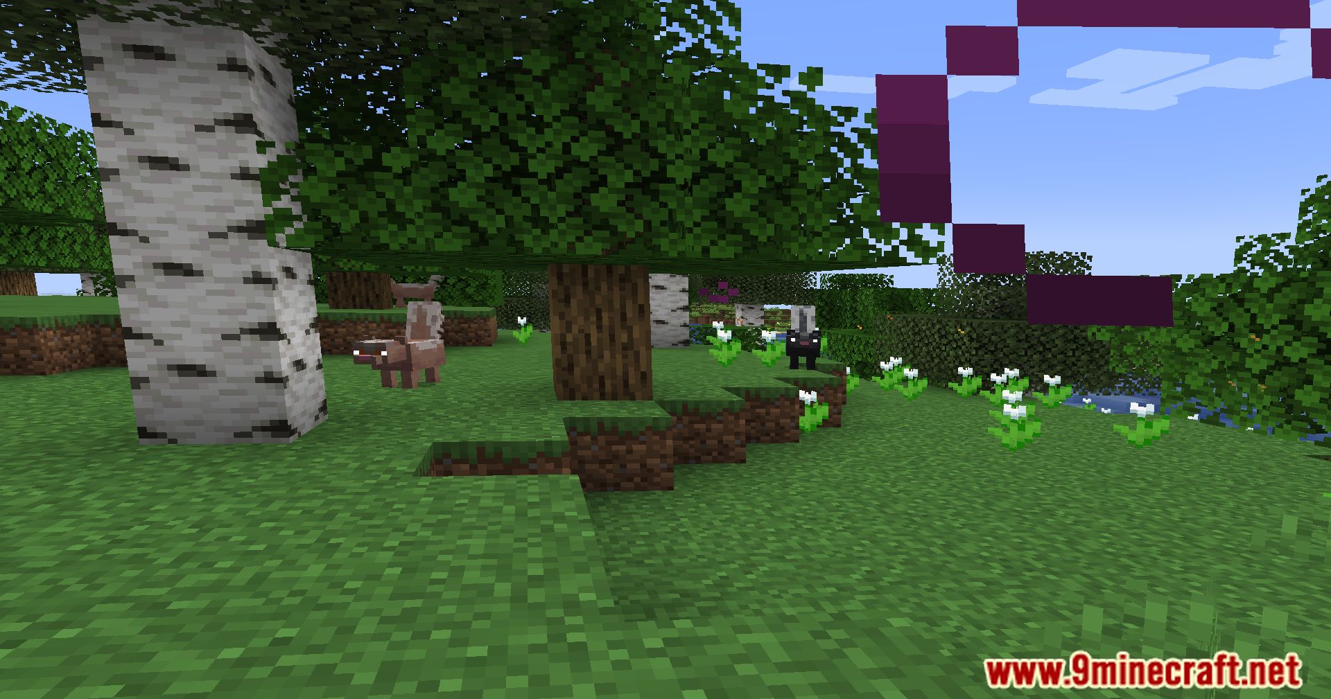 Wildlife Expanded Skunk Mod (1.20.4, 1.19.4) - Make Way For Wildlife, Taming Minecraft Skunks 8