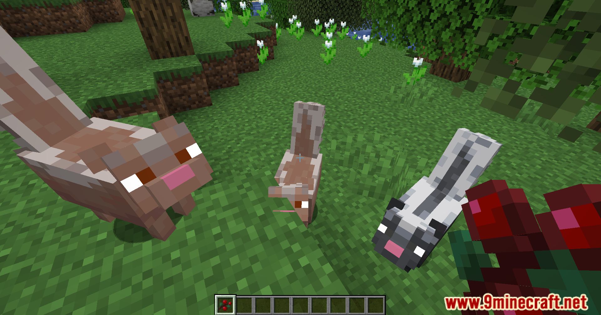 Wildlife Expanded Skunk Mod (1.20.4, 1.19.4) - Make Way For Wildlife, Taming Minecraft Skunks 9