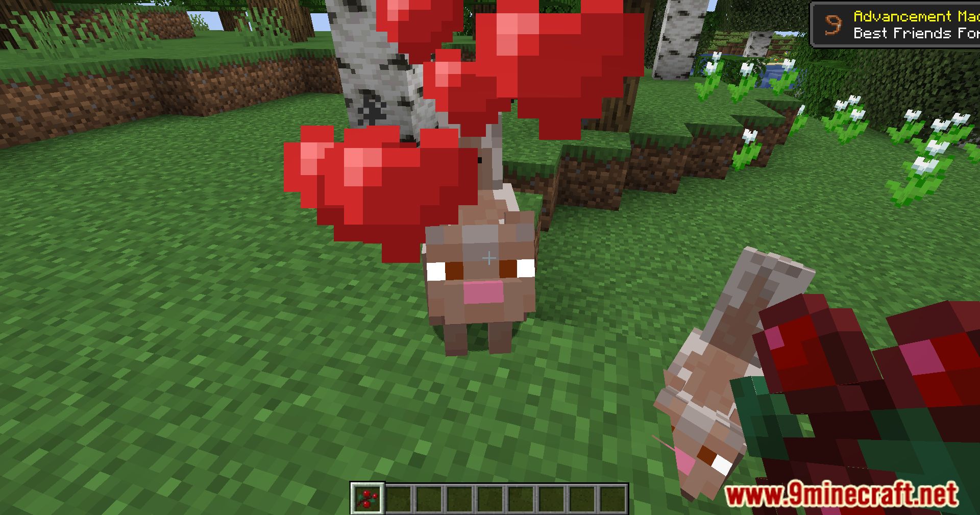 Wildlife Expanded Skunk Mod (1.20.4, 1.19.4) - Make Way For Wildlife, Taming Minecraft Skunks 10