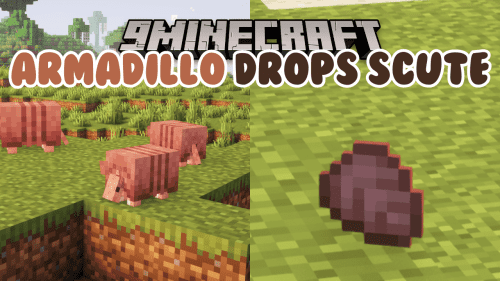 Armadillo Drops Scute Mod (1.20.6) – Dropping a Scute Upon Defeat Thumbnail