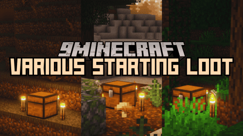 Various Starting Loot Mod (1.21, 1.20.1) – Biome-Specific Loot Thumbnail