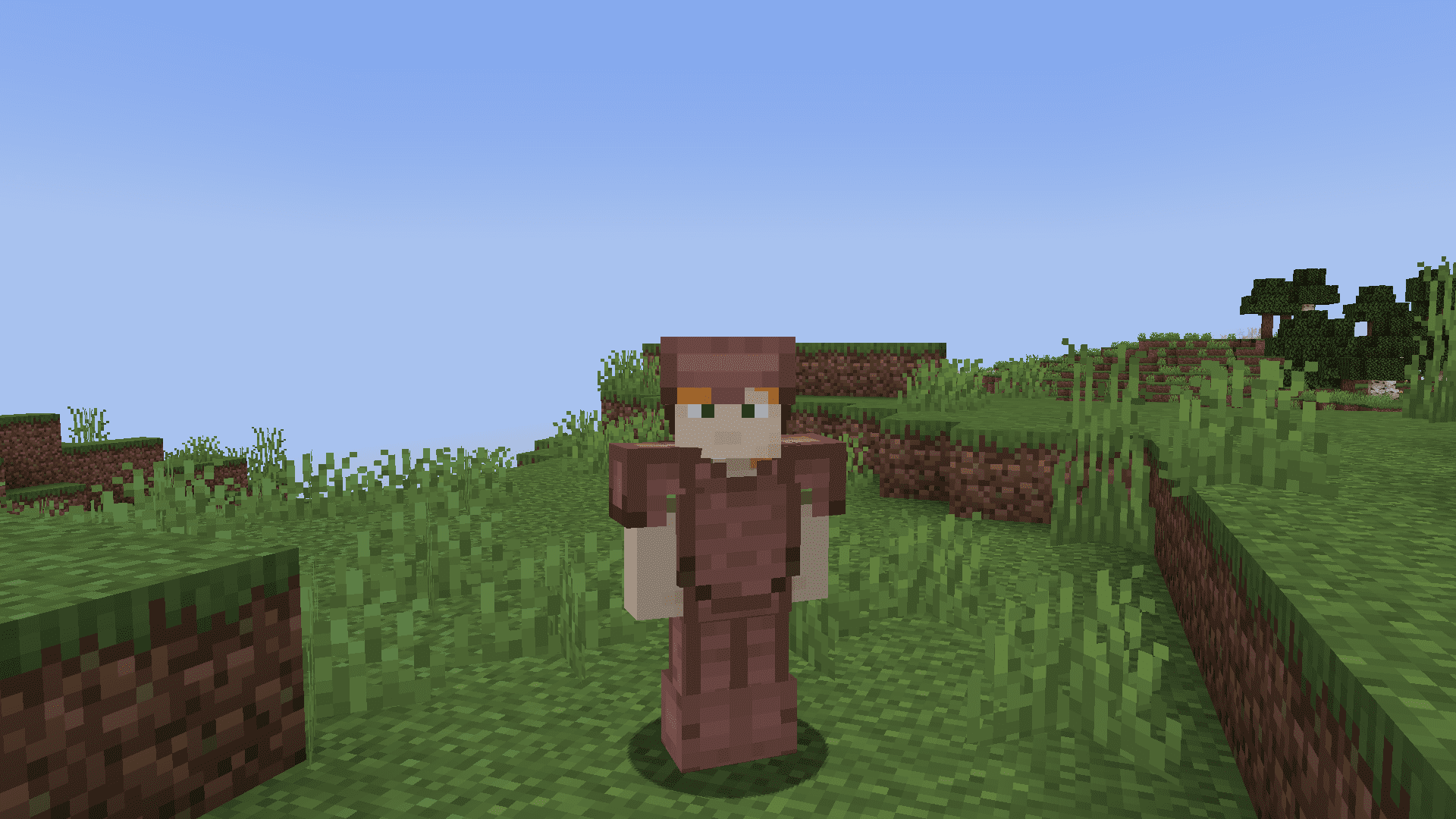 Armadillo Scute Armor Mod (1.21, 1.20.6) - Scute Armor Set 6