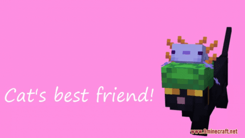 Cat’s Best Friend Resource Pack (1.20.6, 1.20.1) – Texture Pack Thumbnail